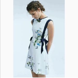 Ted Baker Spring Meadow A-Line Dress